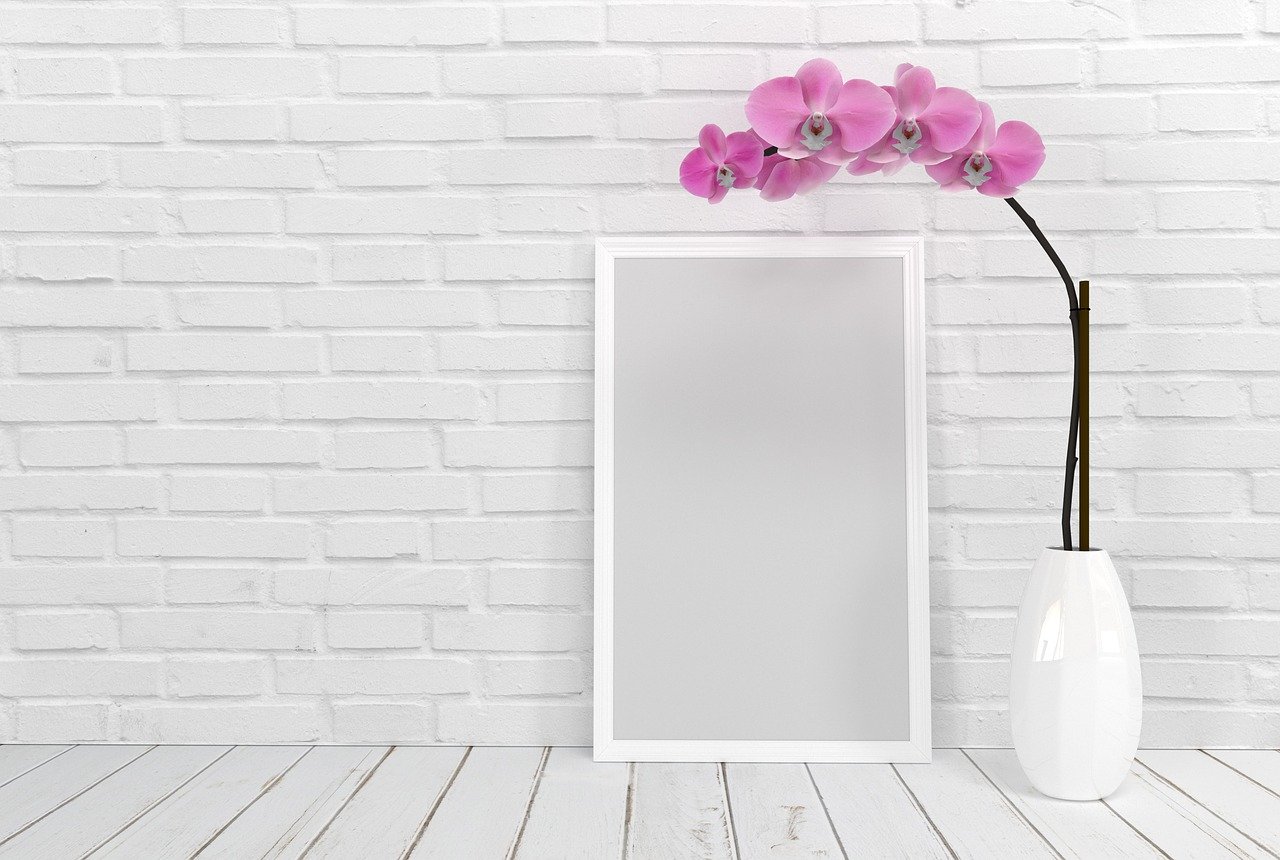 picture frame, flower, orchid-3737438.jpg